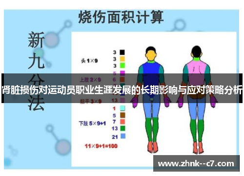 肾脏损伤对运动员职业生涯发展的长期影响与应对策略分析