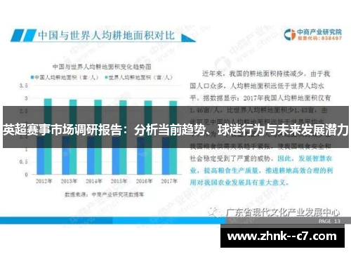 英超赛事市场调研报告：分析当前趋势、球迷行为与未来发展潜力
